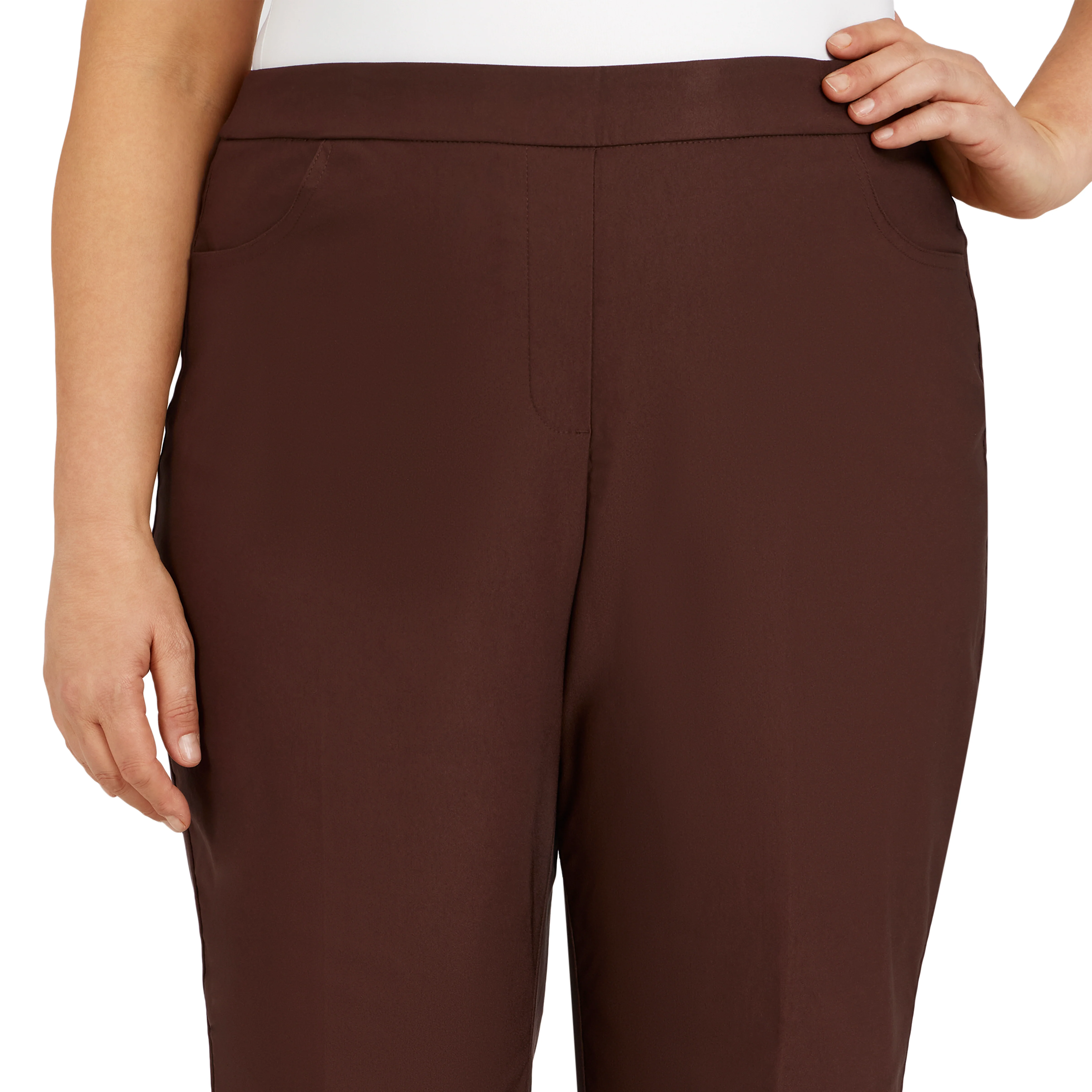 Alfred Dunner Plus Classic Allure Fit Proportioned Pant with Elastic Comfort Waistband Short Length - Image 11