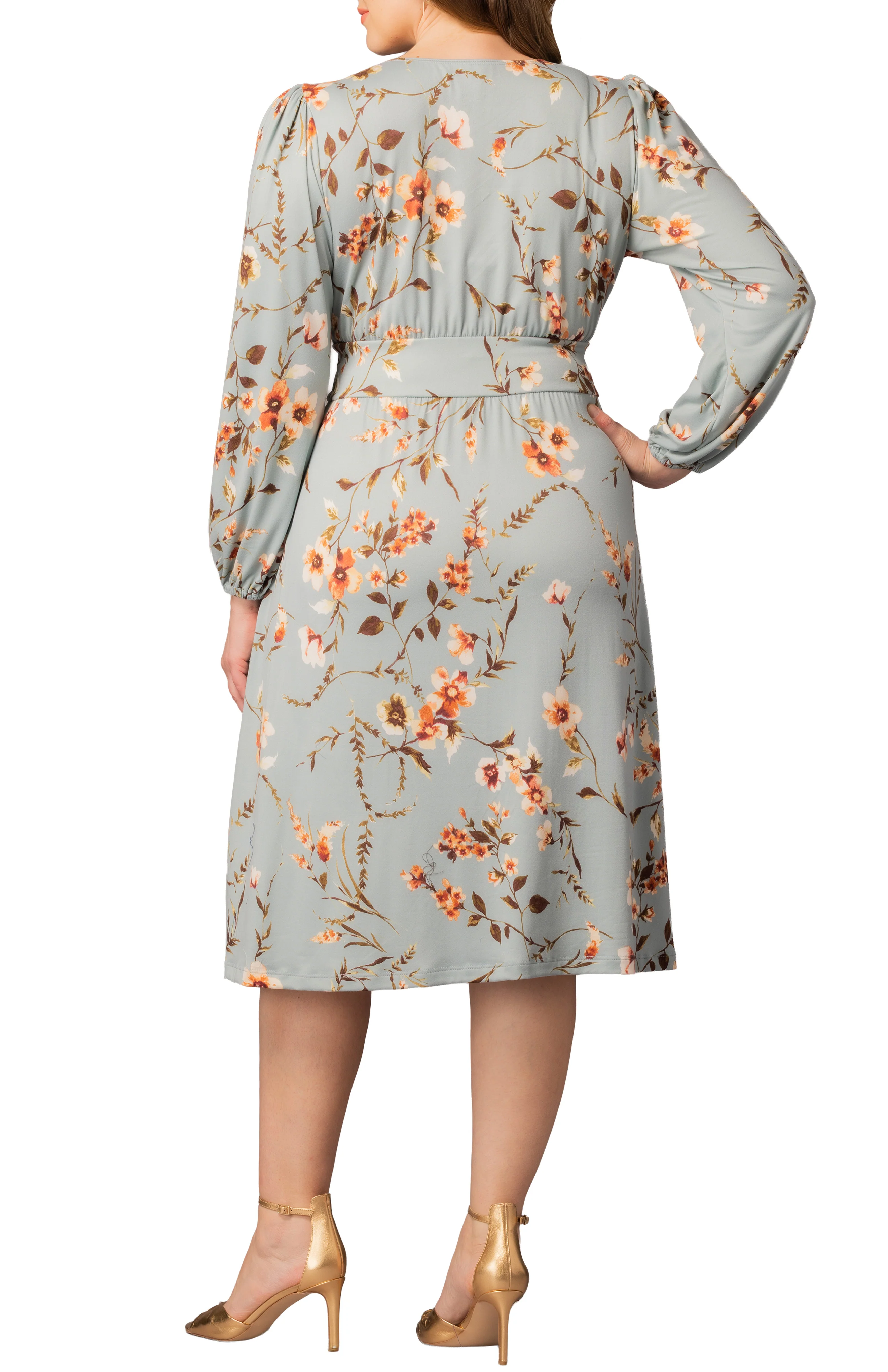Diana Long Sleeve Dress  - Spring Meadow -  Plus - Image 2