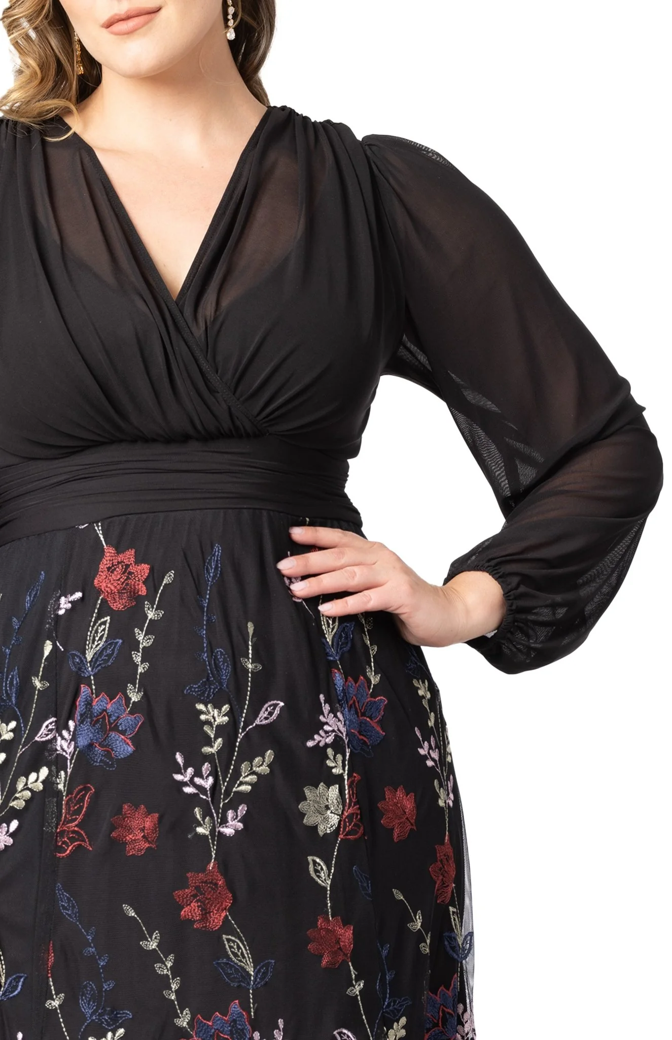 Isabella Embroidered Mesh Gown - Black - Plus - Image 4
